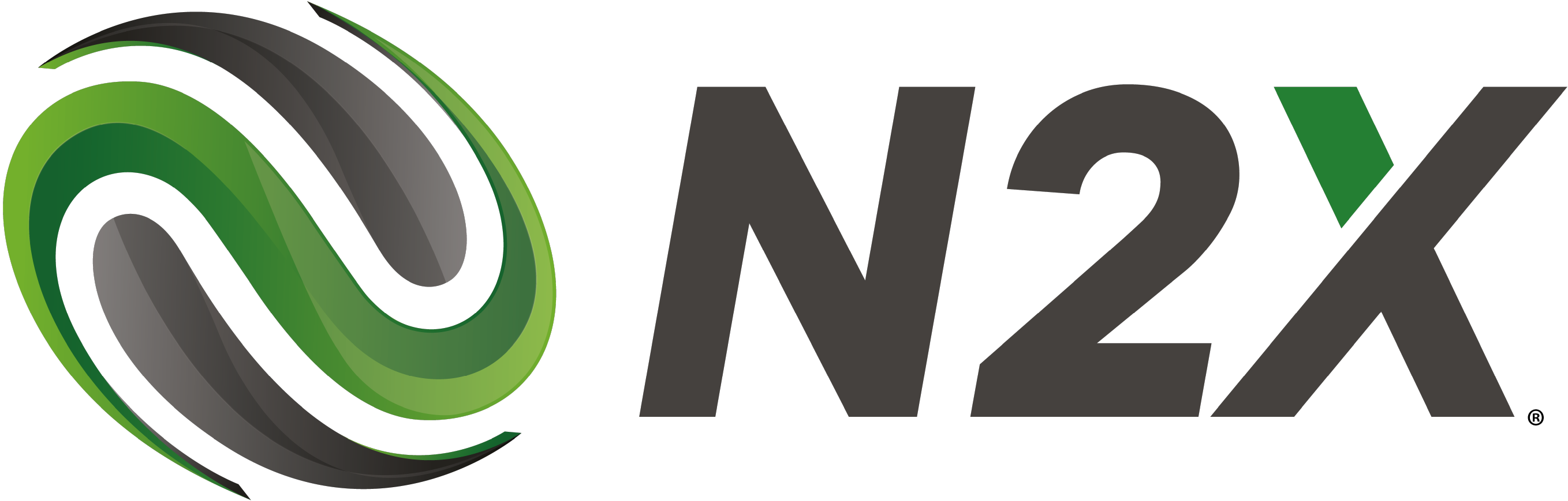 N2X Process Solutions