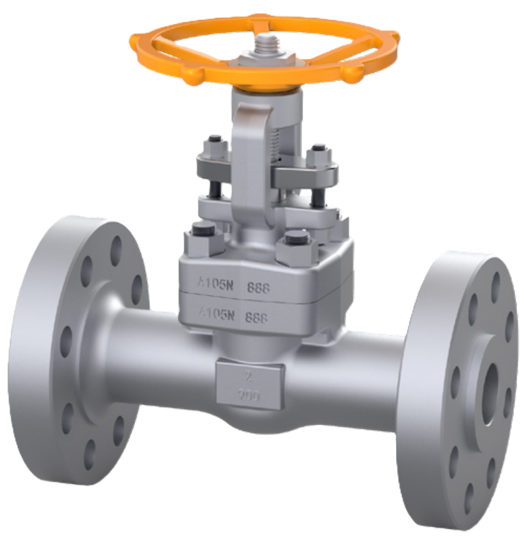 Forged Steel Gate Valve