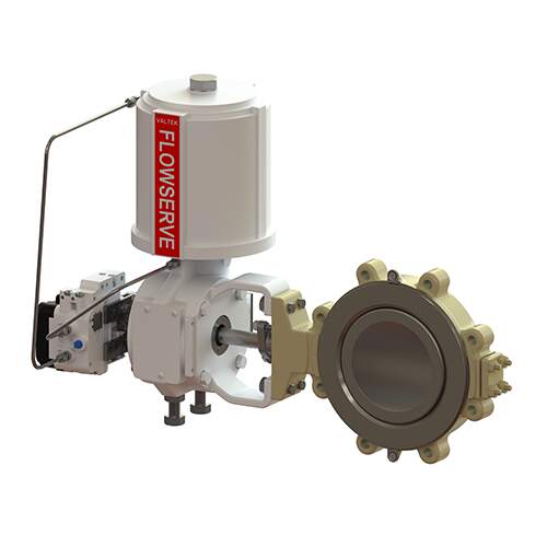 Rotary control valve disc assembly